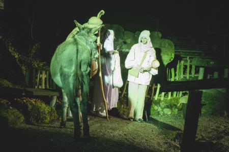 Projekt Božična noč, uspešno zaključen 16